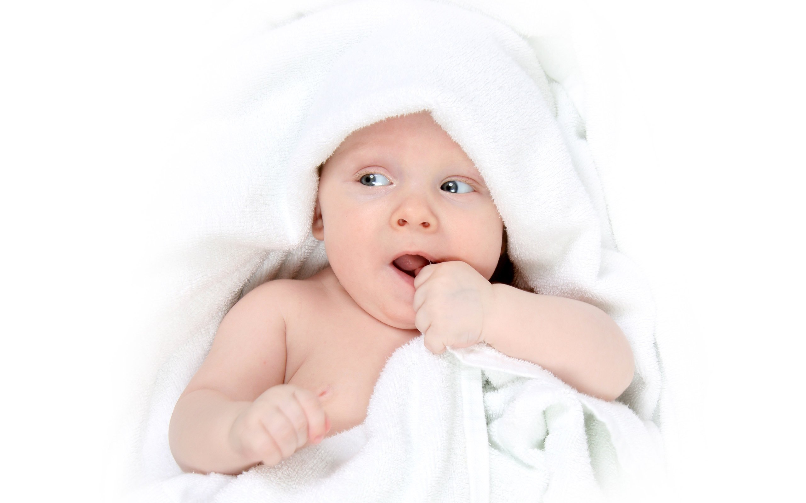 福州助孕供卵试管婴儿第二代成功率